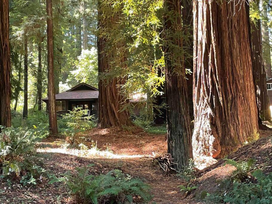 The Groves At Redway Beach - Craftsman 外观 照片